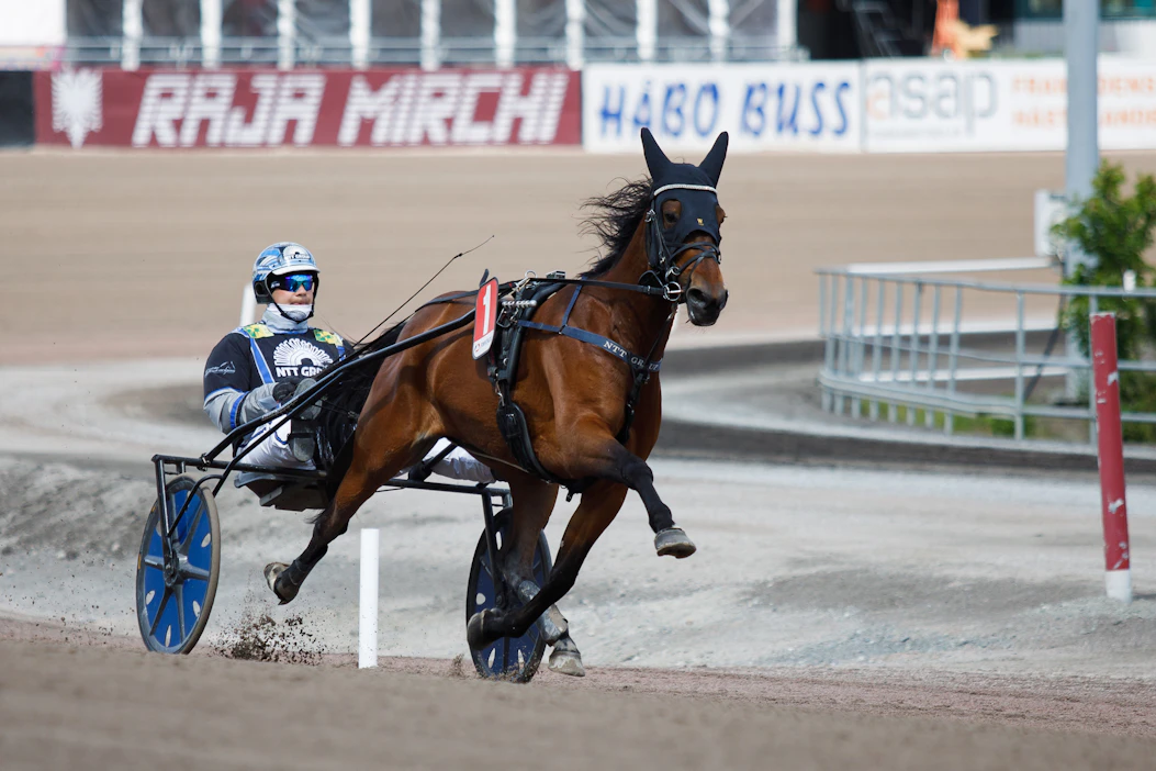 Veikko Haapakangas lämmittämässä Stall Dencon lupaavimpiin kuuluvaa Chanel Trioa Elitloppet-perjantaina 2023.