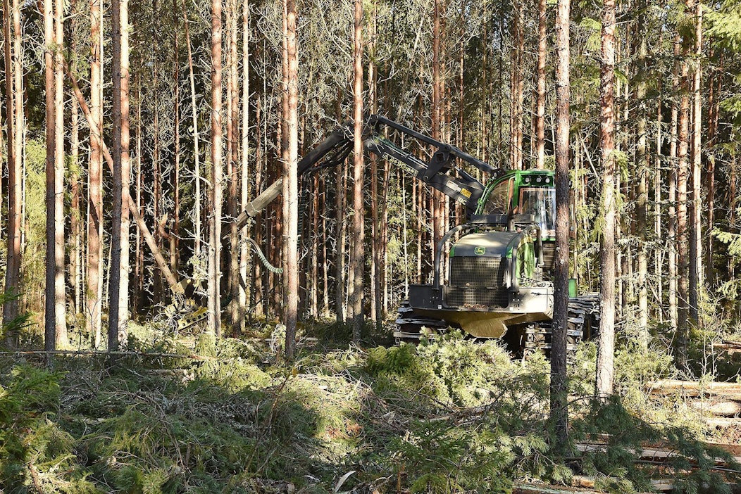 Lukijalta: Suomen metsät ovat erinomainen, koko ajan paraneva hiilinielu -  MT Metsä - Maaseudun Tulevaisuus