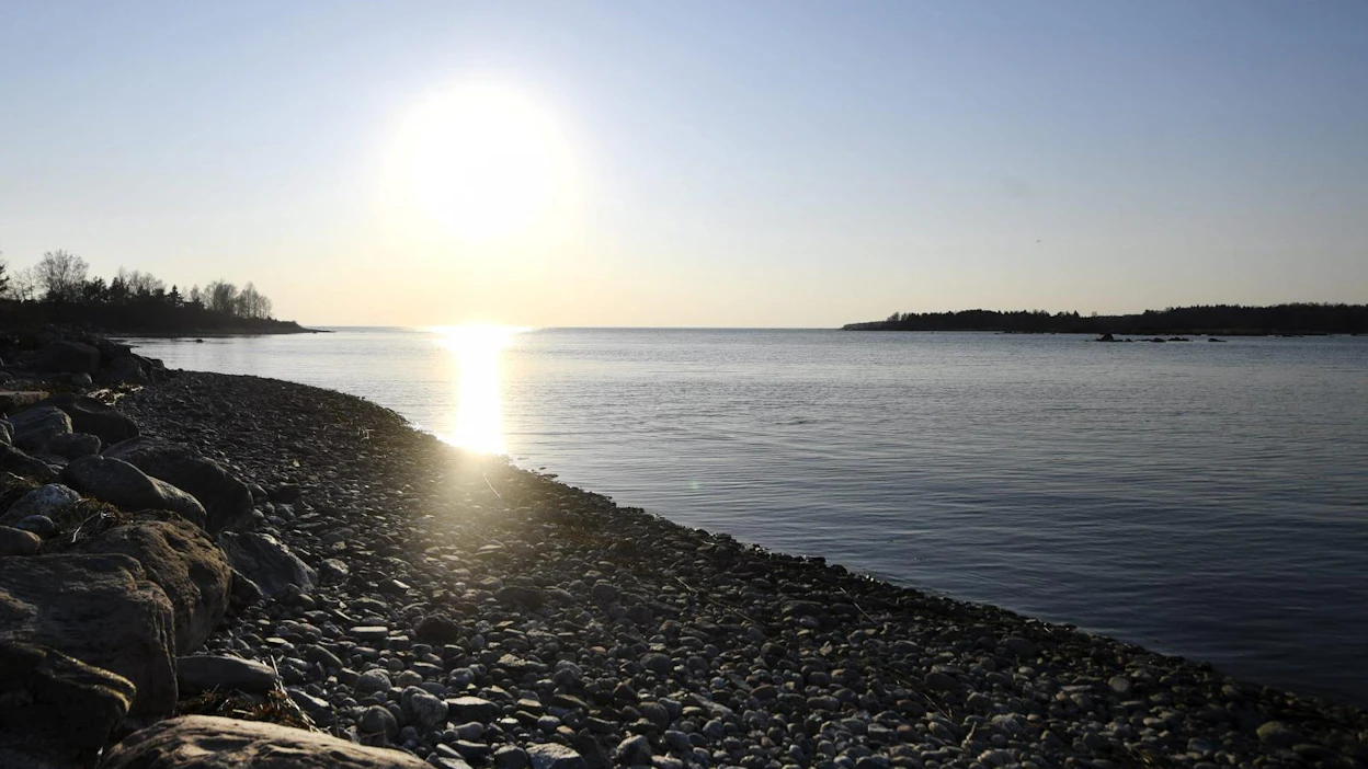 Tarkempaa tietoa Selkämeren tilanteesta saadaan loppukesällä, kun haamuverkkoja lähdetään keräämään kalastusaluksella.