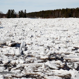 Jääpadot voivat nostaa vedenpintaa nopeasti ja uhata jokirannan kiinteistöjä. Arkistokuva Kiiminkijoelta.