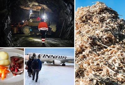 Kaivokset, elintarvikkeet, matkailu ja uusiutuva energia ovat kasvussa tänä vuonna.