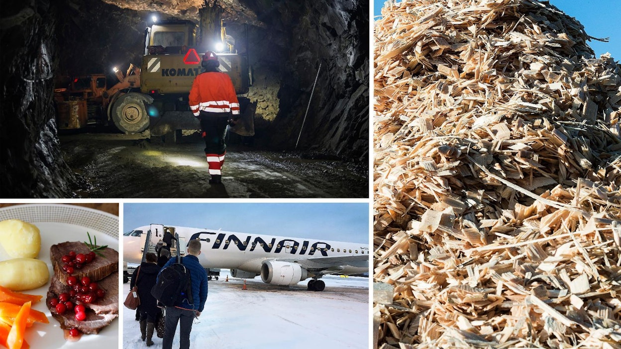 Kaivokset, elintarvikkeet, matkailu ja uusiutuva energia ovat kasvussa tänä vuonna.