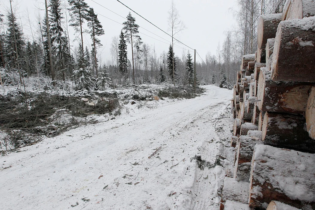 Puuston poistuma jäi viime vuonna kolmeen neljäsosaan puuston kasvusta.