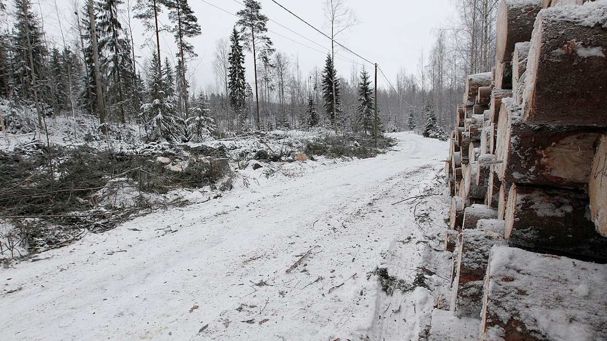 Puuston poistuma jäi viime vuonna kolmeen neljäsosaan puuston kasvusta.