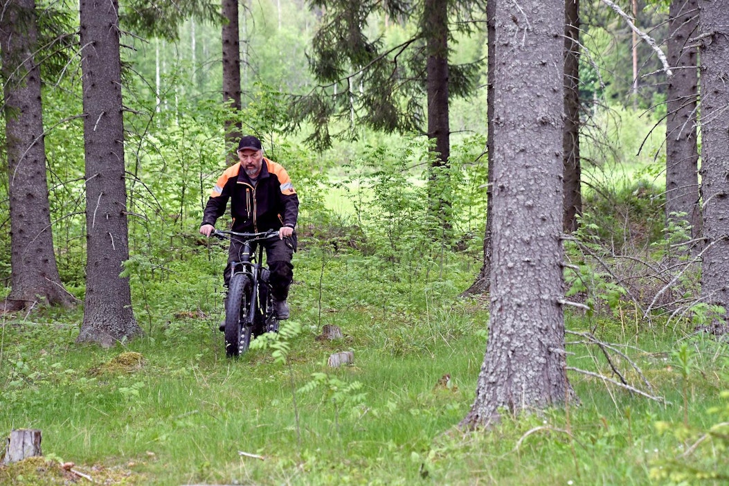 Metsässä läskipyörä on omassa elementissään.