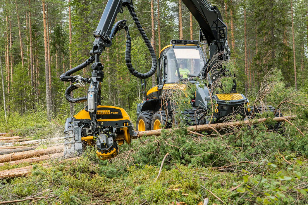 Conifer Consulting hallinnoi yhteensä yli 30 000 hehtaarin metsäomaisuutta, mikä jakaantuu usealle institutionaaliselle asiakkaalle.