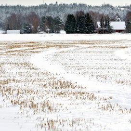 Viime vuoden sääolosuhteet ovat laskeneet viljelijöiden luottamusta tulevaisuuteen, tutkimus kertoo.