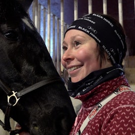 Janita Luttunen pitää tallia Torniossa ja kilpailuttaa hevosiaan ahkerasti Ruotsissa.