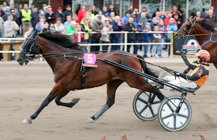 Tuore suurmestari Regent Zet on Malja-Ajon pankki.