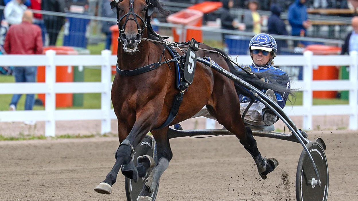 Jontte Boyn kilpaura käsitti 58 starttia, 14 voittoa ja 11 muuta totosijaa. Se tienasi 354 534 euroa ja ravasi ennätyksekseen 4-vuotiaana 11,1.