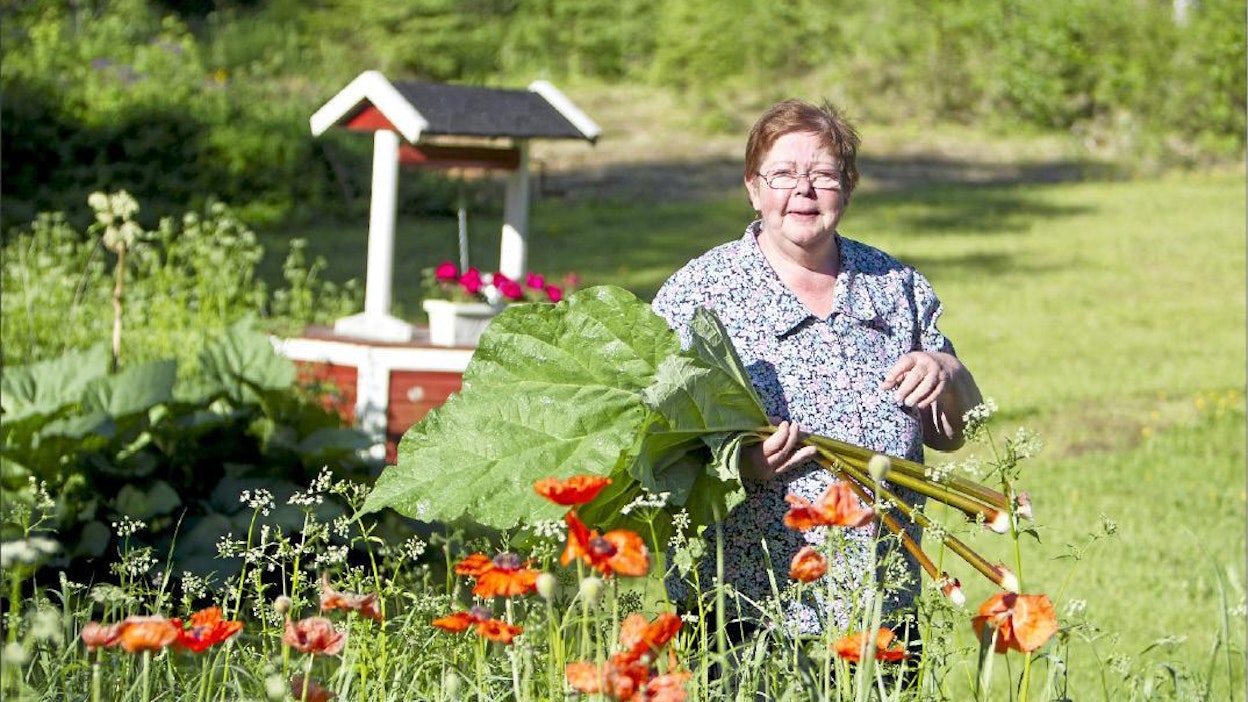”Jokaisen maallemuuttajan pitäisi läpäistä testi. Kestätkö ampiaisia, kettuja, karhuja, pimeyttä? Maaseudulla eläminen vaatii tahtoa”, pohtii Anne Mastomäki. Rami Marjamäki