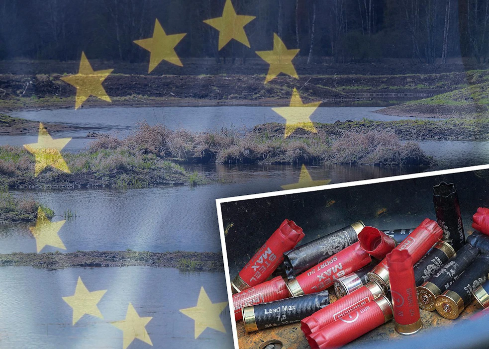Lyijyhaulikielto rajoittaisi Suomen oloissa suhteettomasti metsästystä ja urheiluammuntaa, Metsästäjäliitto tiedottaa.