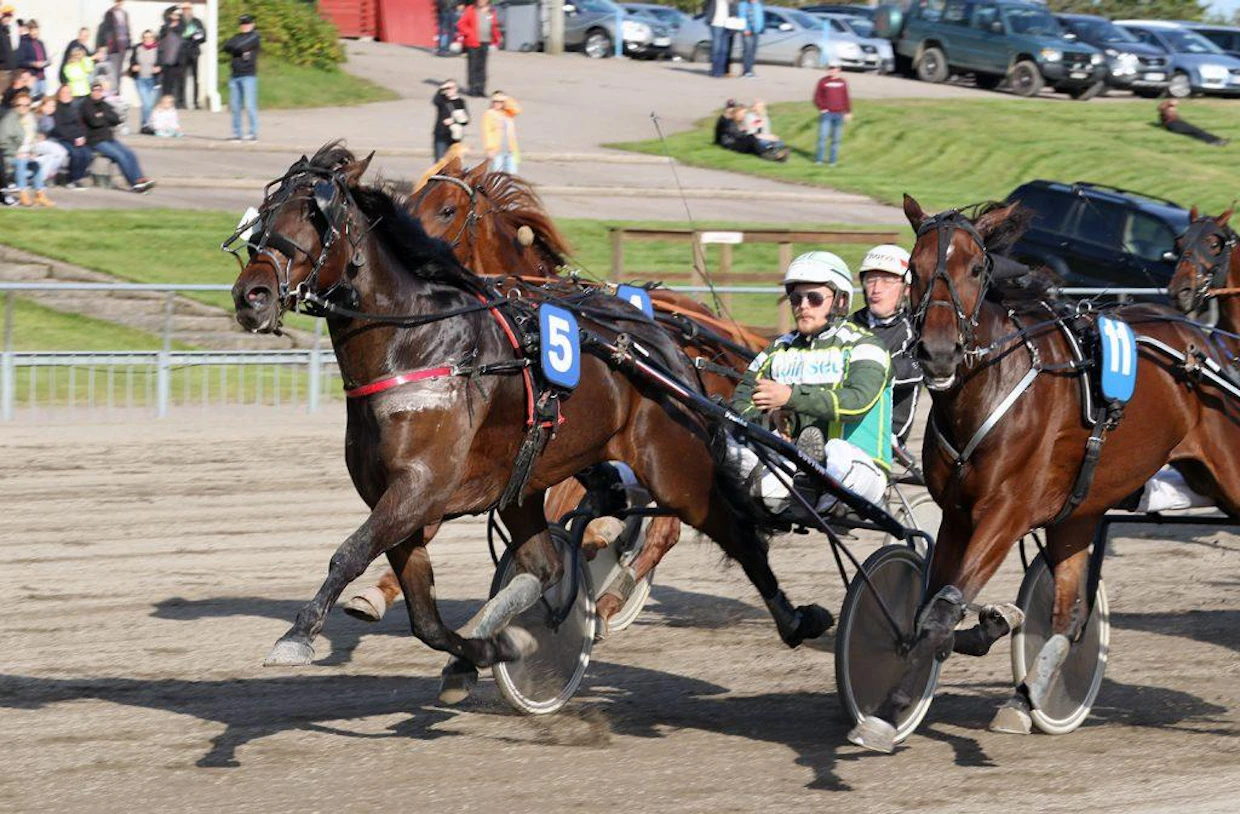 Just For Me ja Markus Porokka katkaisivat Lappeenrannan menestyjän Smoky Rayn voittokulun.