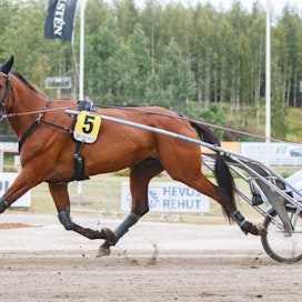 Mika Forss ja lauantain 75-finaalinsa Solvallassa voittanut Valiant Dream Lahdessa viime kesänä.
