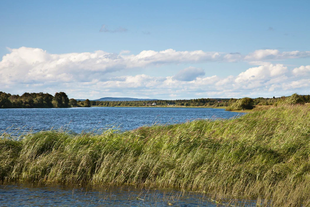 Luonnon päivät on yksi Suomi 100 -hankkeita.