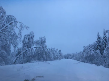 Tältä näytti Sotkamon Paakissa perjantaina iltapäivällä.