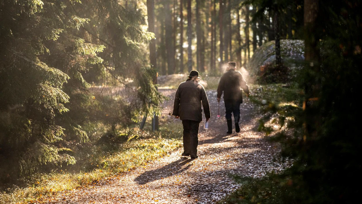 Suomen 25 suurimman metsänomistajan listalle pääsi viime vuonna, jos metsää omisti noin 1950 hehtaaria tai enemmän.