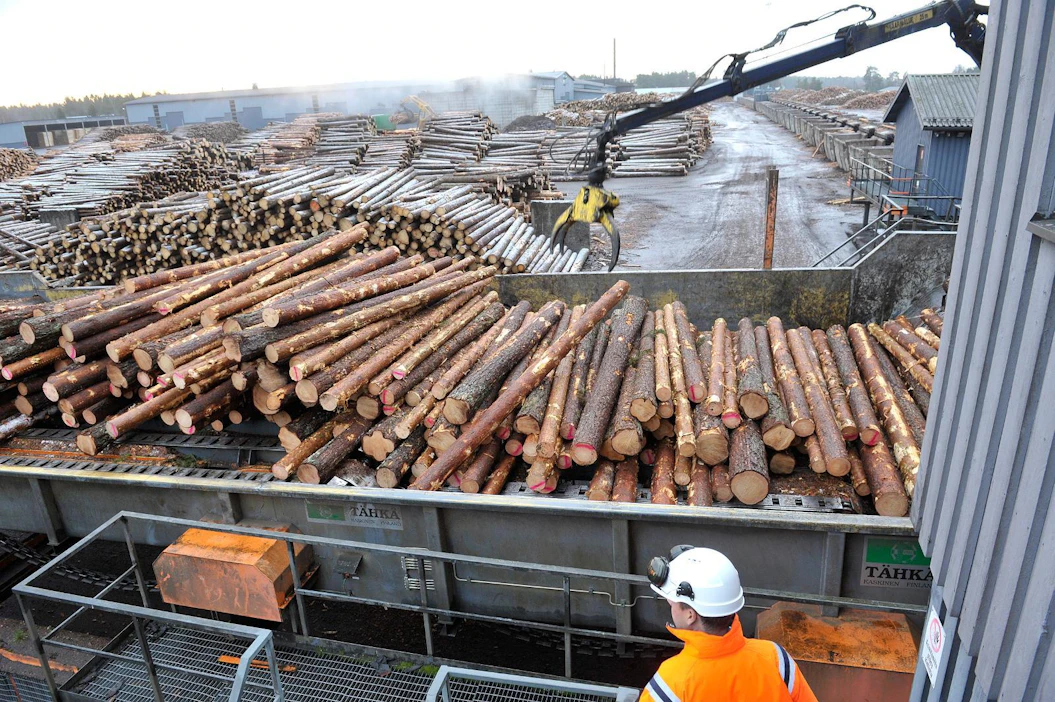 Sahat kärsivät pahiten, jos metsiä aletaan suojella Metsäpaneelin ehdottamalla tavalla.