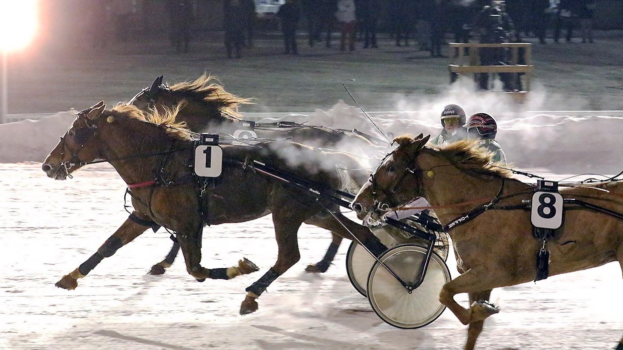 Topper kamppaili hyvin, mutta Porokan kaksikon pysäyttäjäksi ei siitäkään ollut: Vixen kiri voittoon ja Koivikon Kalle täydensi talliparin.