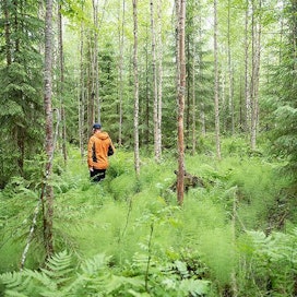 Metsänhoidon suositukset tarjoavat metsänomistajalle tietoa metsänhoidon eri vaihtoehdoista. Ne ovat nimensä mukaisesti suosituksia, päätöksen toimenpiteistä tekee metsänomistaja itse.