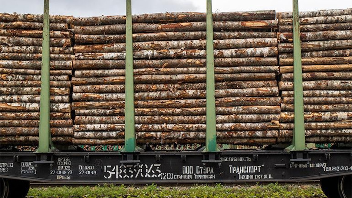 Puuta tuodaan Suomeen pääasiassa massateollisuuden tarpeisiin. Valtaosa tuonnista on koivukuitupuuta ja haketta. Suomeen on tuotu puuta eniten Venäjältä, mutta tänä vuonna Venäjän-tuonti lakkaa kokonaan.