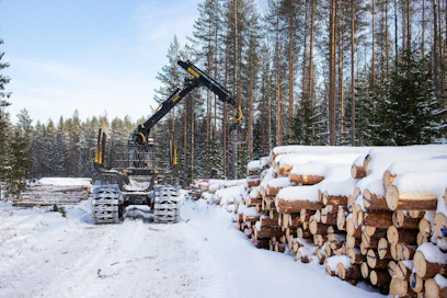Koko alkuvuonna Metsäteollisuus ry:n jäsenyritykset ovat ostaneet puuta yksityismetsistä 5,3 miljoonaa kuutiometriä, mikä on 20 prosenttia vähemmän kuin viime vuonna tähän aikaan.