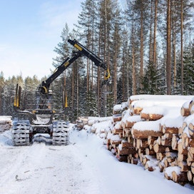 Koko alkuvuonna Metsäteollisuus ry:n jäsenyritykset ovat ostaneet puuta yksityismetsistä 5,3 miljoonaa kuutiometriä, mikä on 20 prosenttia vähemmän kuin viime vuonna tähän aikaan.