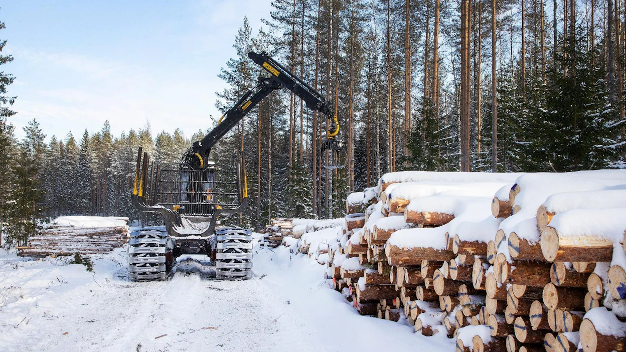 Koko alkuvuonna Metsäteollisuus ry:n jäsenyritykset ovat ostaneet puuta yksityismetsistä 5,3 miljoonaa kuutiometriä, mikä on 20 prosenttia vähemmän kuin viime vuonna tähän aikaan.