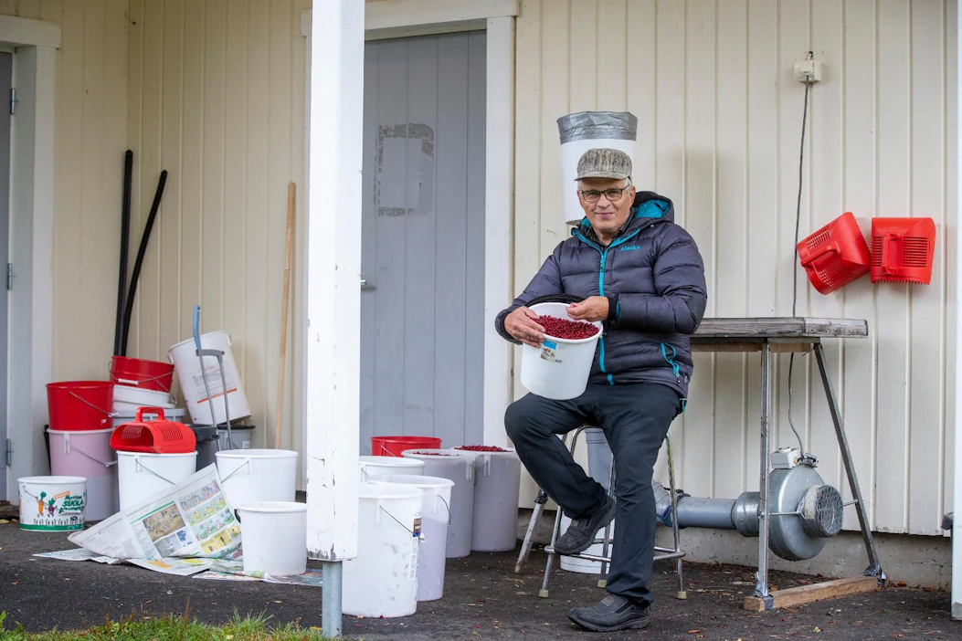 Jouko Koskelo toivoo, että nuoret innostuisivat marjastamaan, kun puhdistaminen on laitteen ansiosta helppoa ja nopeaa.
