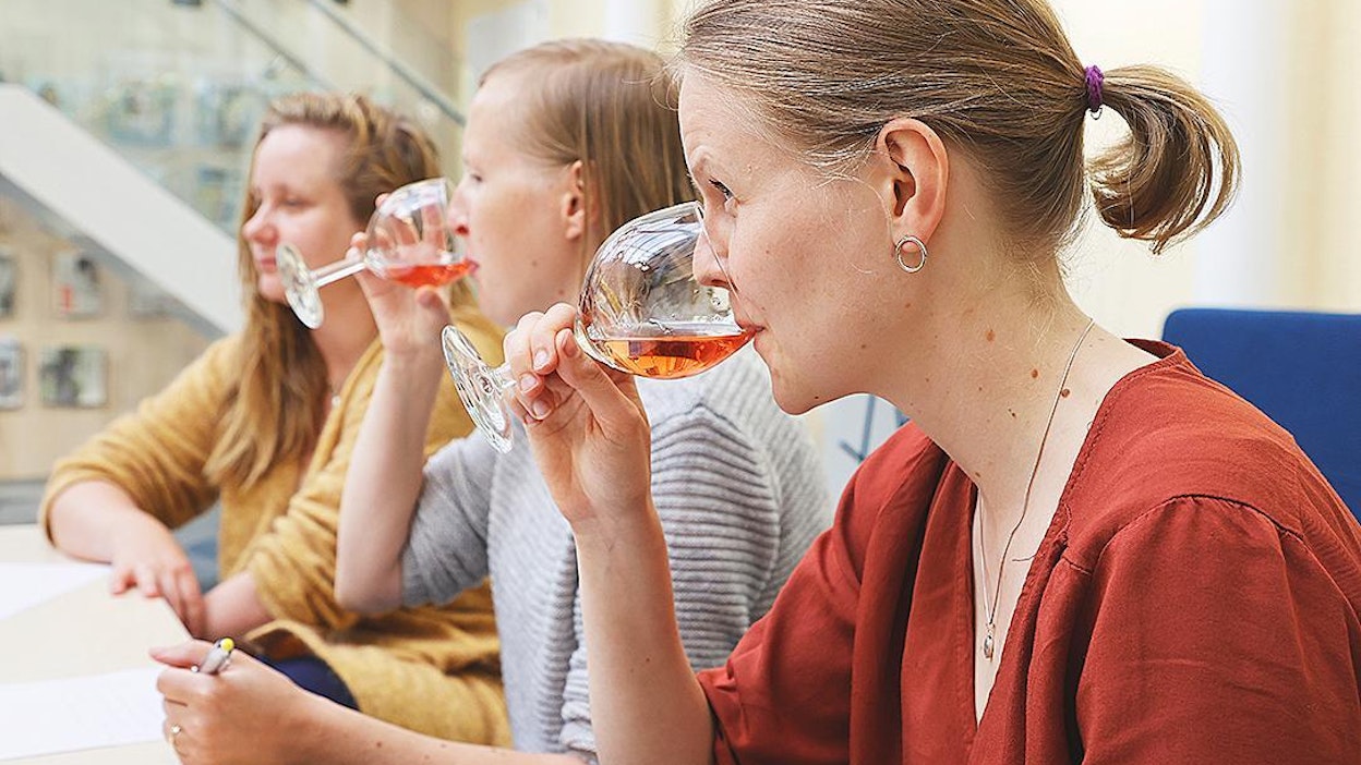 Maria Pohjala maistelee rosé-viiniä, joka jäi raadin mielestä maultaan liian laimeaksi.