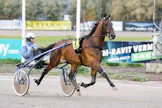 Ecurie D kolmevuotiaiden EM:n yhteydessä Vermossa rattaillaan Björn Goop. Oritta valmensi uran alussa Frode Hamre.