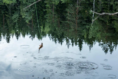 Kalakunkkukisa järjestetään Pudasjärvellä tulevana lauantaina neljättä kertaa. Tapahtuman järjestelyistä vastaavat Panumajärvi ry ja Ala-Kollajan osakaskunta.