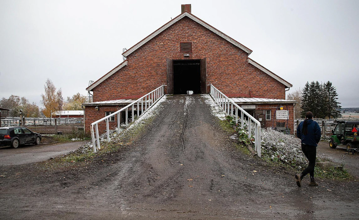 Hevosopiston ympärillä jatkuu kuohunta. Ensin omistajiin vedottiin ohi toimivan johdon ja hallituksen väitteillä henkilöstön huonosta johtamisesta ilman, että niille löytyi työterveydenhuollosta tai tyosuojelusta selviä todisteita. Nyt omistajista osa hakee julkisuuden kautta uutta yhtiökokousta ja lisäselvityksiä.