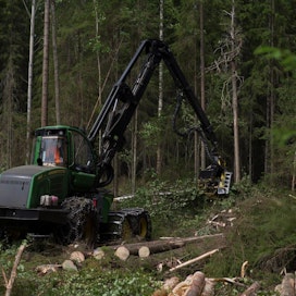 Suomen luonnonsuojeluliitto on lähtenyt ajamaan mökkiläisille oikeutta kieltää hakkuut kiinteistön lähellä.