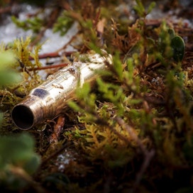 Ruotsin poliisin isoon metsästysrikostutkintaan liittyy muun muassa useita epäiltyjä suden salametsästystapauksia.