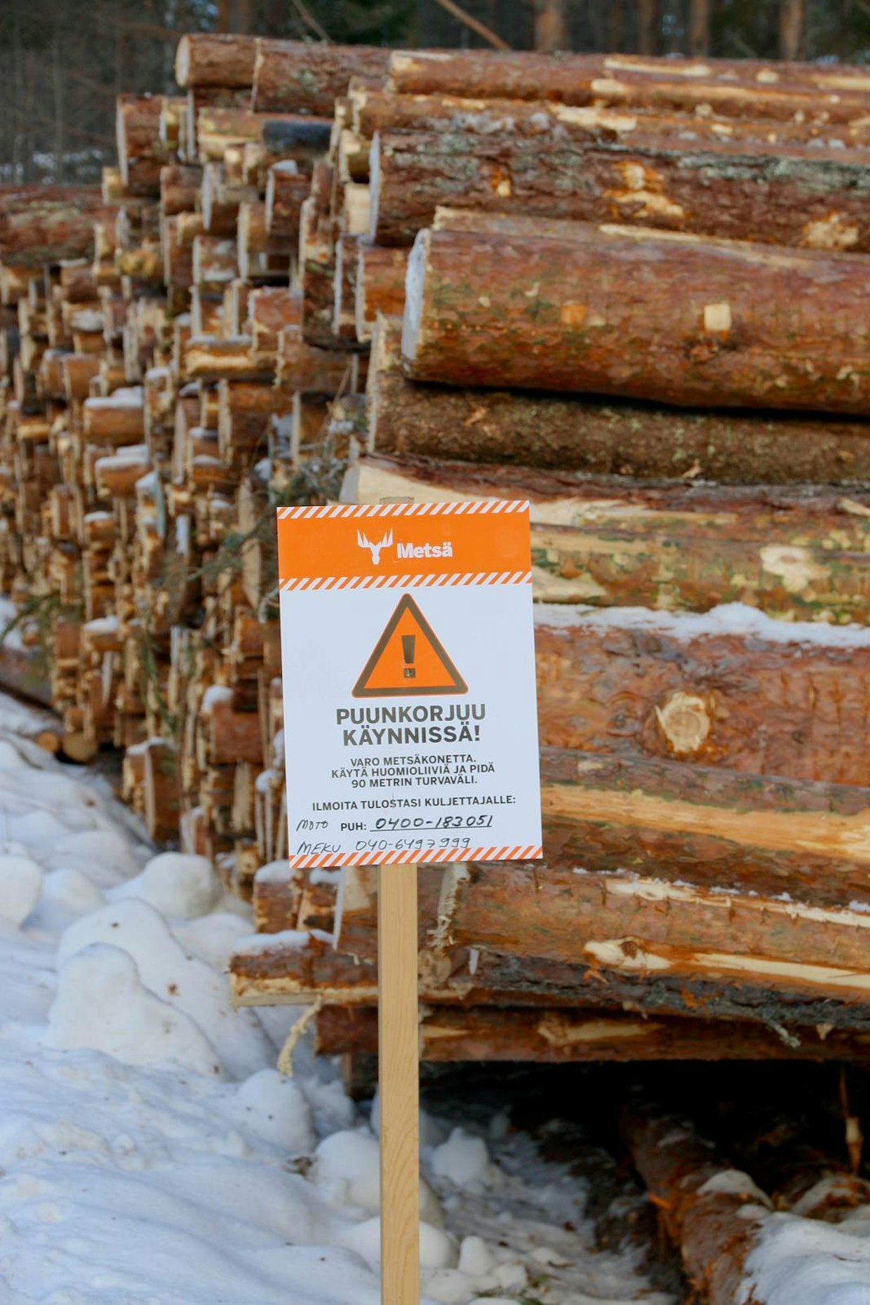 Biotalous tarvitsee puuta raaka-aineekseen. Suomen metsissä kasvava ja hiiltä sitova nuori puusto on hyödynnettävissä monipuolisesti käyttöön. Metsä Groupin uusi tehdas Äänekoskella on esimerkki myös siitä, miten biomassaa voidaan hyödyntää mahdollisimman ympäristöystävällisesti.