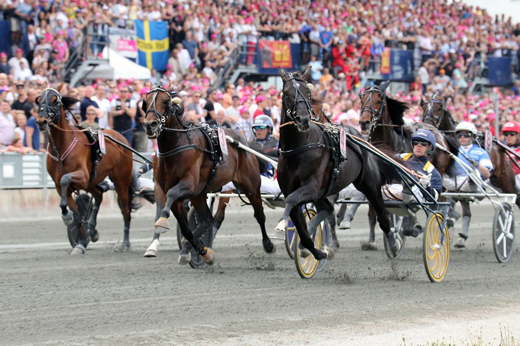 Elitloppetin voittajaa voi tänä vuonna pelata perjantai-iltaan asti kiinteillä kertoimilla Pitkävedossa.