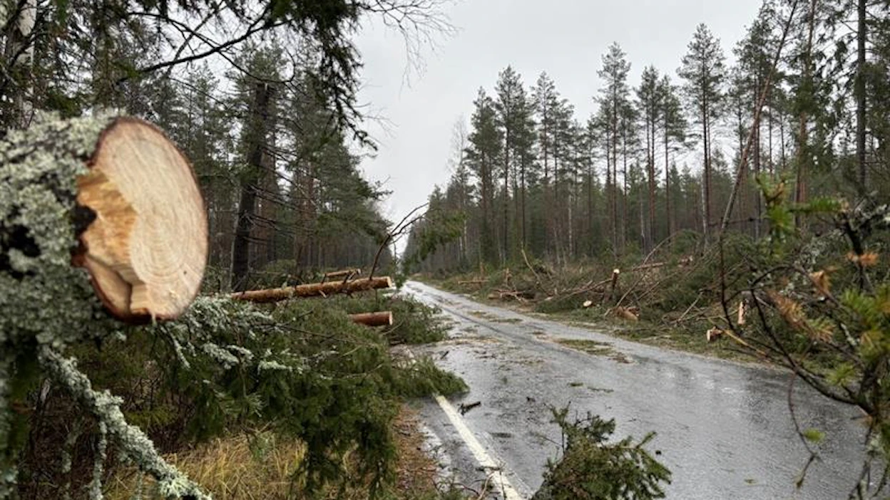 Haitallisten sääilmiöiden kuten tulvien, kuivuuden, helleaaltojen ja trooppisten myrskyjen voimistuminen jatkuu joka tapauksessa 2060-luvulle asti, vaikka saavuttaisimme kahden–puolentoista asteen lämpenemisen tason, kirjoittaa Petteri Taalas.