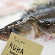 Kotimaista kuhaa. Kuvituskuva.