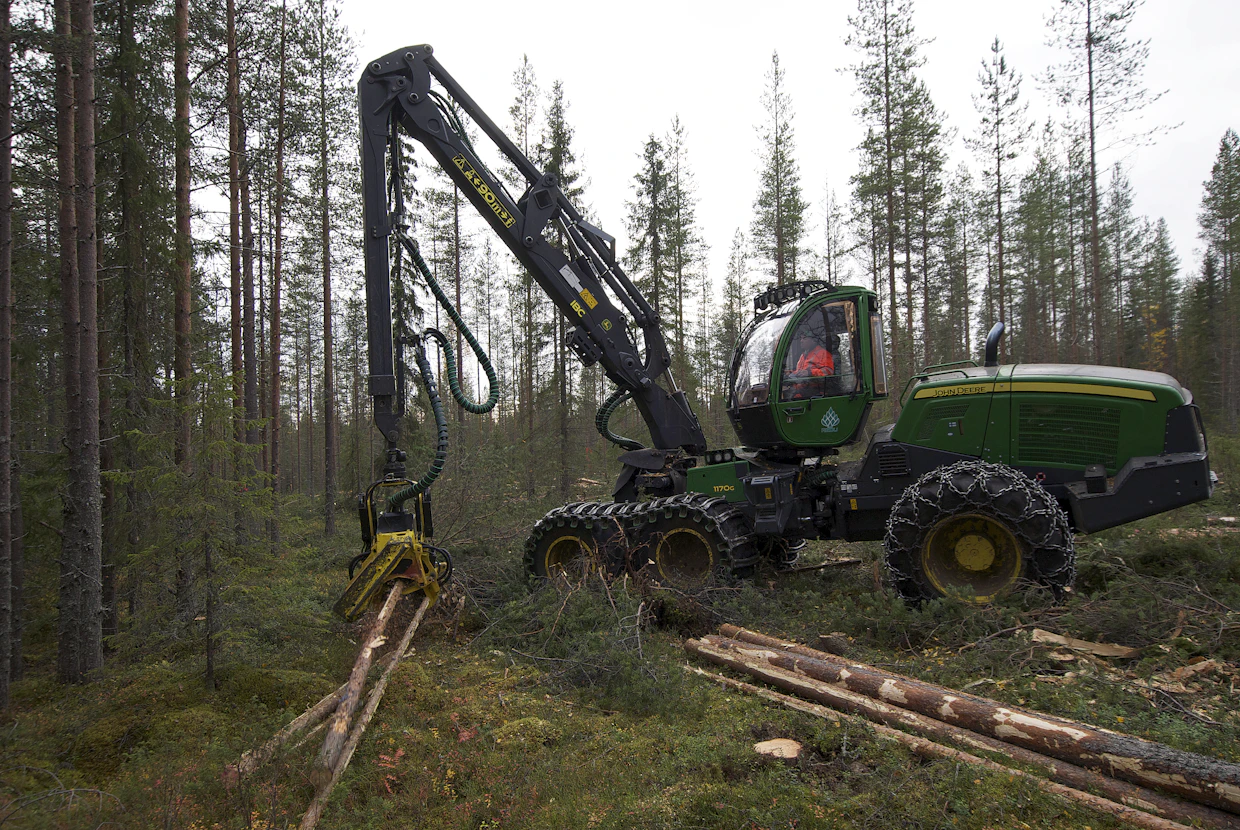 Tutkimuksen kesäkorjuukohde hakattiin syyskuussa 2021.