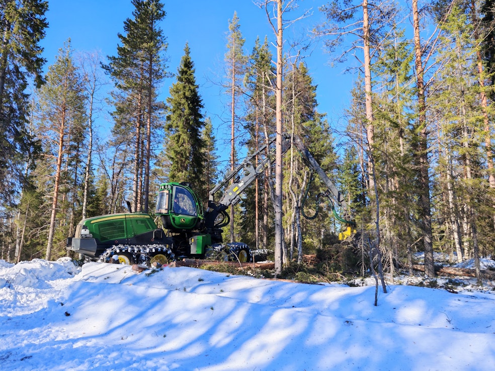 Metsähallituksen uudistusluonteisista hakkuista Lapissa kolmannes oli viime vuonna peitteisen metsätalouden hakkuita.