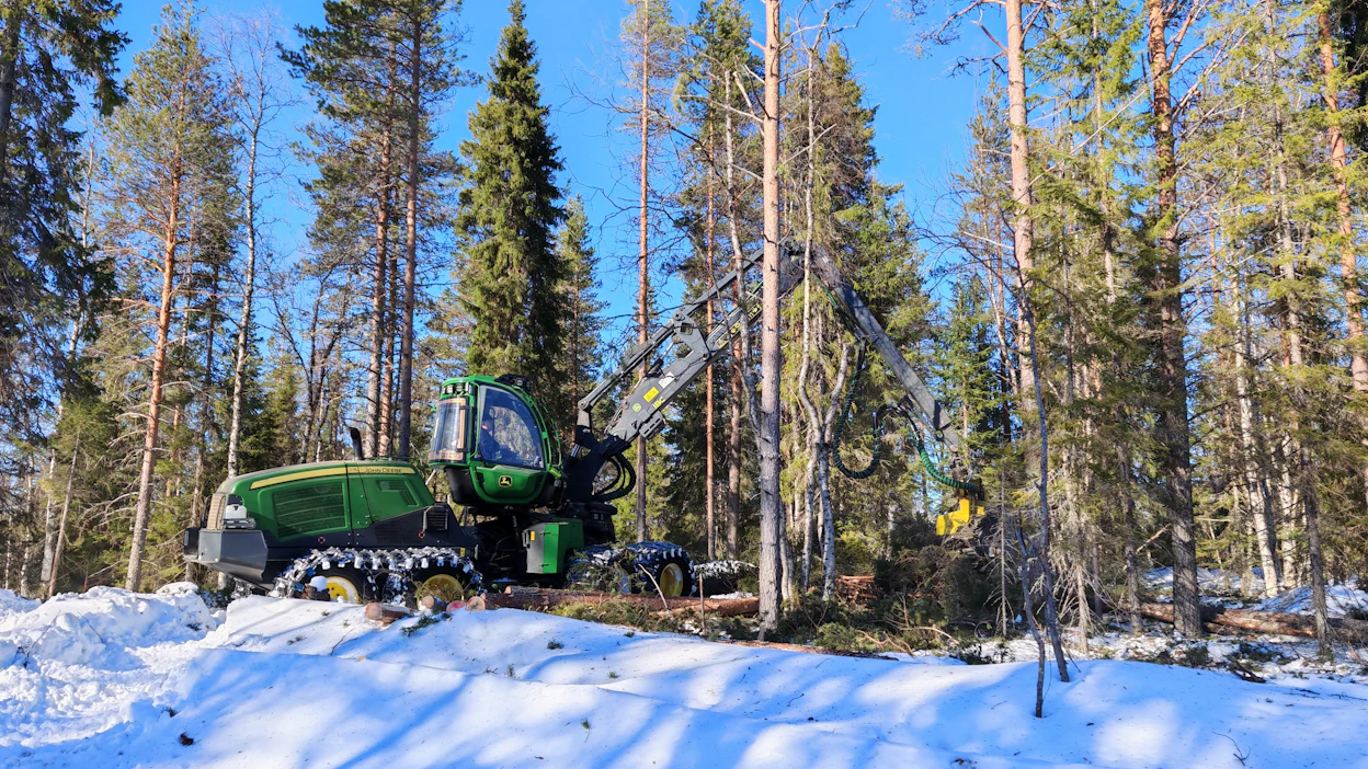 Metsähallituksen uudistusluonteisista hakkuista Lapissa kolmannes oli viime vuonna peitteisen metsätalouden hakkuita.