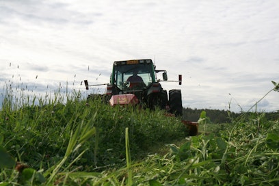 Turvepellot lämpenevät keväisin kivennäismaita hitaammin, mistä johtuen ne eivät ole ihanteellisia vaativampien kasvien viljelyyn. Nurmen tuottajana turvepelto on varsin mainio.