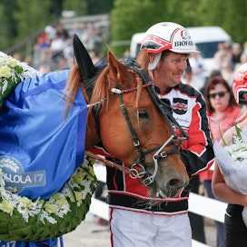 Viime kesän Suur-Hollola-voittaja Tähen Toivomus on Pauli Raivion tämän vuoden kuninkuusravitoivo.
