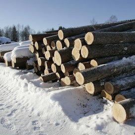 Mauri Pekkarisen mielestä puu pitäisi pystyä jalostamaan sellua arvokkaammiksi tuotteiksi.