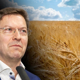 MTK:n toiminnanjohtajan Jyrki Wallinin mukaan Hankkijan toimitusjohtajan väite liian korkeasta viljan hinnasta ei ole perusteltu.