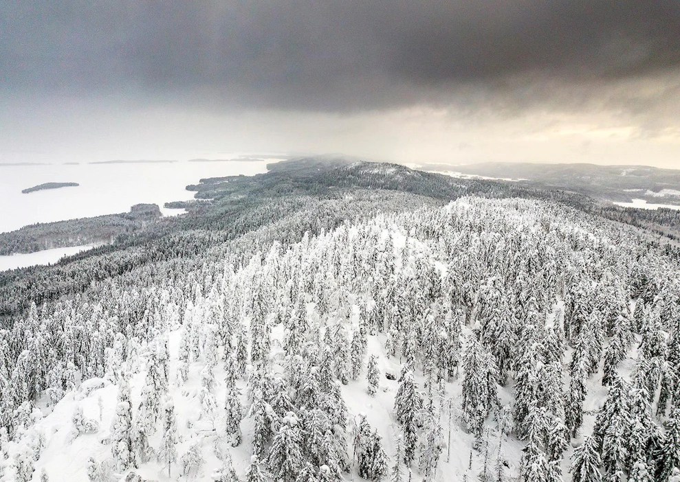 Vuoden matkailualuetta valittaessa nostetaan tekijöitä, jotka mittaavat matkailun myönteistä kehitystä. Dronekuva on voittaneen Kolin alueesta.