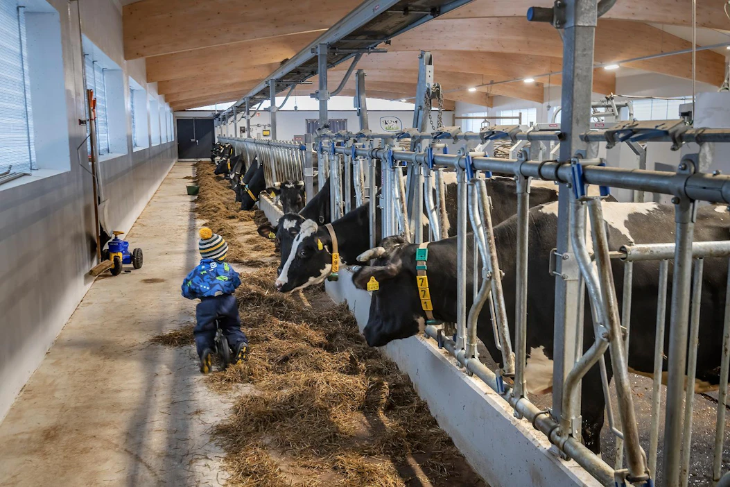 Nuoret tuottajat ovat koulutettuja ja tarttuvat innokkaasti uusiin asioihin, viestittävät MTK:n maaseutunuoret Viljelijä 2040 -kampanjassaan.