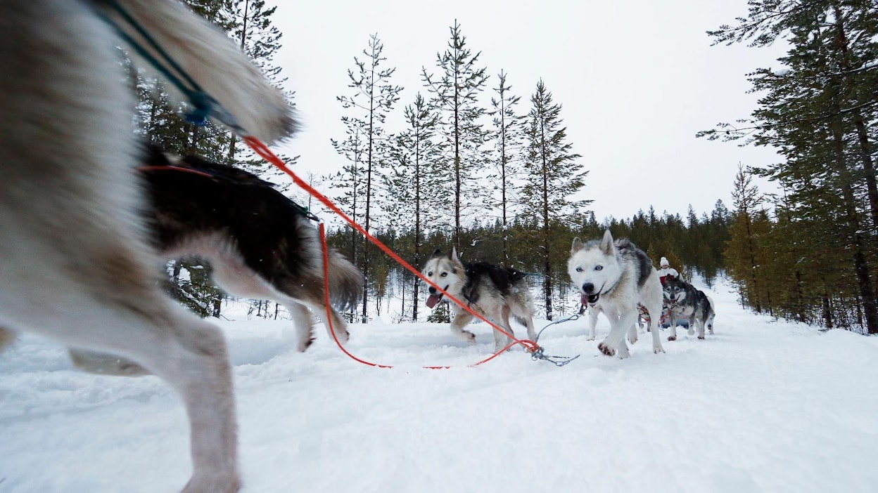 Lapissa halutaan kehittää talvimatkailun ohella lumettomien aikojen matkailua ja maaseutumatkailua.