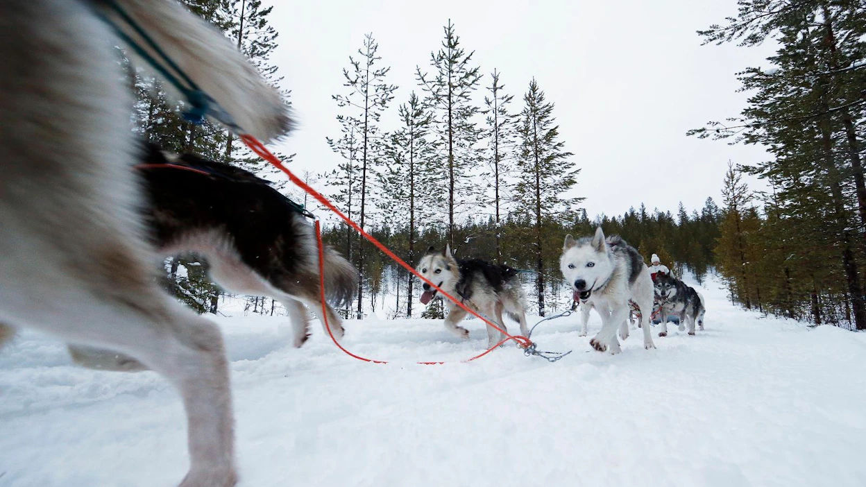 Lapissa halutaan kehittää talvimatkailun ohella lumettomien aikojen matkailua ja maaseutumatkailua.